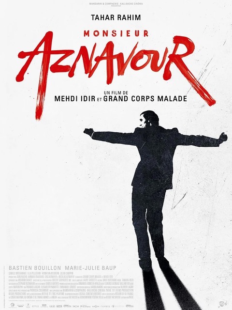 Affiche Monsieur aznavour